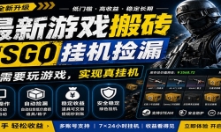 ������Ϸ��שCSGO���һ�����һ�����1W+����һС�߷��ϳ��ɳ��⣬�ֻ�����