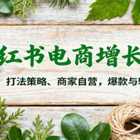 С������������Σ�AI�������򷨲��ԡ��̼���Ӫ��������ת���ؼ�