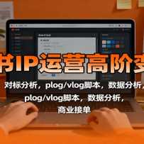 С����IP��Ӫ�߽ױ��ֿΣ��˺Ű�װ���Ա������plog/vlog�ű������ݷ�����