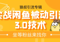 ����ʵս���㱻������3.0�����������ϼ��淨������ͱ����������߽��淨ʵս�ܽ�