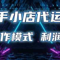 ����С�����Ӫ ��ʱ�йܼƻ� ����ģʽ ��������ֳ�