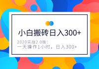 2020ʵս2.0�棺С��ʵս��ש��һ�����1Сʱ����ȫ�ֻ�ά��������300+����Ƶ+�ĵ���