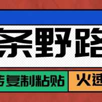 ͷ�����˺�������300+Ұ·���淨���������԰�ש����ճ������ķ���̳�