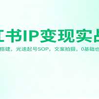 С����IP����ʵս�Σ���λ����������SOP���İ����㣬0����Ҳ��׬Ǯ