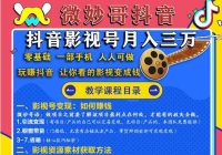 �������һ���ֻ������˿����Ķ���Ӱ�Ӻţ�΢��綶��Ӱ�Ӻ�����3�򣨼�ֵ980Ԫ��