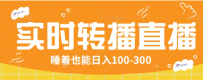 24Сʱʵʱת�����˺��С��Ϸֱ���䣬˯��Ҳ������100-300��ȫ�׽̳̹���