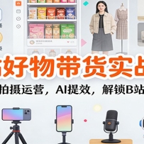 Bվ�������ʵս�Σ�ѡƷ�ű���������Ӫ��AI��Ч������Bվ׬Ǯ���淨