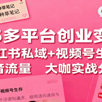 2025��ƽ̨��ҵ���ֿΣ�С����˽��+��Ƶ������+������������ʵս����