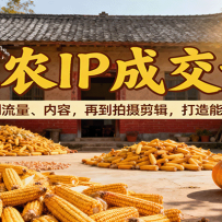 ��ũIP�ɽ��Σ��Ӷ�λ�����������ݣ��ٵ���������������ܱ��ֵ�IP