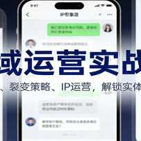 ˽����Ӫʵս�Σ�����ģ�塢�ѱ���ԡ� IP��Ӫ������ʵ����������