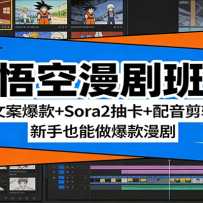 �������ࣺ�İ�����+Sora2�鿨+��������������Ҳ������������