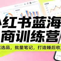 С������������ѵ��Ӫ��AI����ѡƷ�������ʼǣ�����˯������ϵͳ