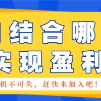 ����2�����������AI�����߸2ʵ��ӯ����������5000+������ϸ�̡̳�