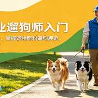 ���Ÿ�ҵ�޹�ʦ���ţ����ż��㾭���ѧ�����ճ��������޹��淶������ʵ����