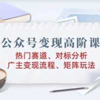 ���ںű��ָ߽׿Σ������������Ա������������������̡������淨