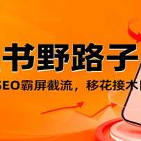 С����Ұ·���������������+SEO�����������ƻ���ľ�ջ��100+