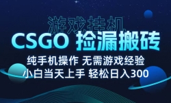 9ϷשCSGOһҪϷʵһ1W+