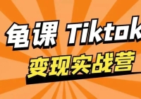 ΡTikTokʵսѵӪϵ1ڣֱģʽ׬᡿