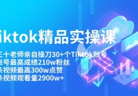TiktokƷʵٿ Բٵ30+Tiktok˺ţ˺210w˿͵Ƶ300w