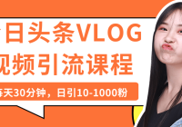 ͷVLOGƵγ̣ÿ30ӣ10-1000ۣᣩ