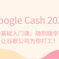 Google Cash 2023ſΣ浽ѧùȸ蹫˾Ϊ򹤣