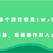 浥Ŀշ1W+ĿСױر5000+