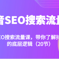 SEOΣ˽ⶶSEOĵײ߼20ڣ