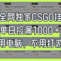ȫCSGOһռ©1000+õԣ