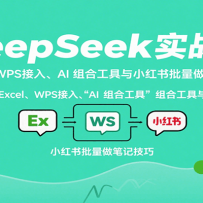 DeepSeekʵսΣExcelWPS롢AI ϹСʼǼ