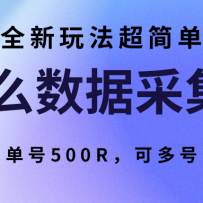 ôݲɼĿȫ淨򵥣500Rɶ