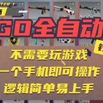 CSGOԶ©Ŀ¶淨һֻɲС1W+