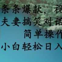 Ƶŷ޸ЦԻĿ򵥲С3