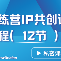 ʦѵӪ3.0IPѵӪ˽ʵٿγ̣12ڣ-Ŀɹؾ