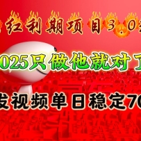 Ŀ3.0淨2025ֻͶˣƵȶ700+