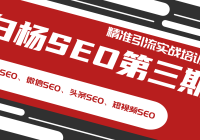 SEOھ׼ʵսѵٶSEO΢SEOͷSEOƵSEO
