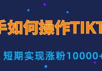 СײTIKTOK3010000˿ߣʵս