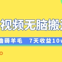 12԰޶ë71WvivoƵϮ