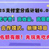 2025ֳ֧ɼƻ6.0淨ģʽܵʵ׬