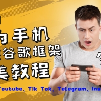Ϊֻװȸ̳̣Tiktok͹ܣTgInstagra֮·