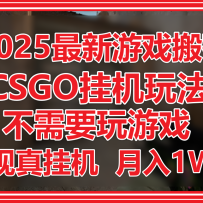2025ϷשCSGOһҪϷʵһ1W+