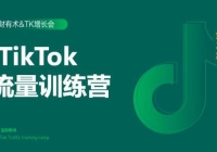 TikTokѵӪᣩPPT