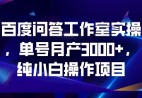 ٶʴʵ٣²3000+СײĿ