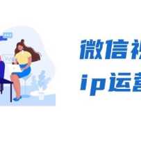 ΢ƵipӪࣺ+CEOֱ+ӢƵűؾ